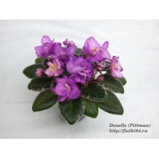 Donelle (Pittman)  